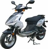 Scooter (ZJ50QT-2)