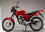 Motorcycle (JX150-35)
