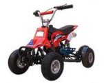 Chinese Mini Quad ATV Manufacture (D13-00001)  -Golden Memer of Alibaba.COM