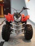 110CC ATV (KWS9-Q110)