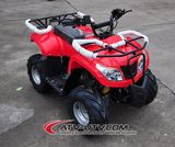 New 110cc ATV with Hydraulic Disc