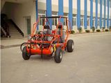 New Design Go Kart 150cc, Air-Cooled, 4-Stroke (Pl-Gk150d)