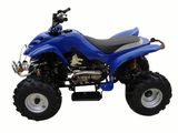 Four-Stroke ATV (WL-ATV04)