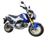 125cc/110cc/100cc/70cc/50cc Motorcycle (Smart monkey)
