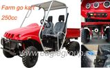 250cc Water Cooled Engine Farm Go Kart / UTV (YG-250GKD-2)