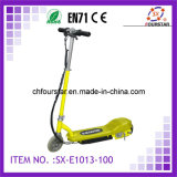 Electric Bicycle (SX-E1013) -100