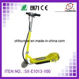 Electric Bicycle (SX-E1013) -100