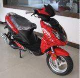 50cc Gas Scooter with EEC Certificate (TS50E-4)