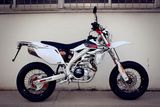 Lx450 Supermotard