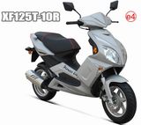 Scooter (XF125T-10R) 