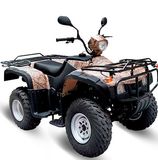 250cc ATV with EEC