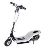 Electric Scooter (DY-E31)