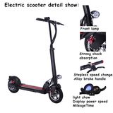 36V Lithium Battery Electric Balancing Scooter