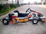 200cc Cheap Karting Cars for Sale