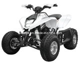 250cc off-Road Vehicle Zhejiang Factory (FXATV-006A-250FZL)