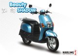Fashionable Electric Scooter (HLES16-390)