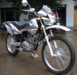 Dirt Bikes (BT250GY-2)