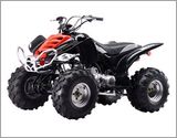 ATV/Mini QUAD (GS-150ST)