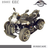 Cool Design EEC ATV 250cc for European