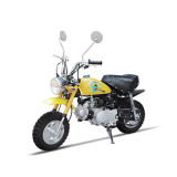 50cc/110cc Dirt Bike Hot Sell (ZC-Y-310)