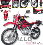 Dirt Bike (SM200GY-A)