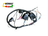 Ww-8806, Motorcycle Part, Motorbike Part, Motorcycle Wire Harness,