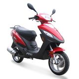 Eagle 50CC EPA/DOT Gas Scooter