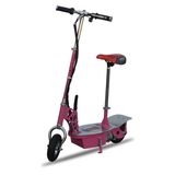 Electric Scooter 250W Es-21 (24V, 9AH)