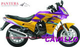 Racing Motorcycle (SM150RM-A)(New)