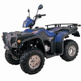 250CC EEC ATV (DP-ATV250(EEC)-F)