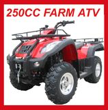 New 250cc Road Legal Quad Bike with Gasoline