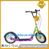 Adult Kick Scooter (WH119E)