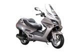 EPA 250cc Gas Engine Powered Scooter Nemo