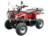 49cc, Single Cylindered, 2 Stroke, Air Cooled Quad (DP-ATV50(EEC-EPA)-F)