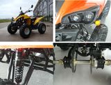 300cc EEC Quad /ATV (TS300E-A3)