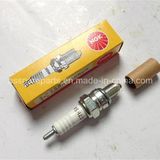 Motorcycle Engine Parts Ngk Sparking Plug C7hsa (EP064)