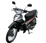 Cub Motorcycle (110CC)