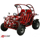 Gokart 250cc EEC approval-Hawk II 250