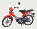 Motorcycle(ZJ35-A1)