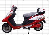Electric Scooter DL015