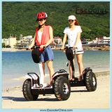 Reliable Electric Chariot Scooter with Smooth Mobility