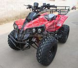 Electric Quad (EA0805-A)