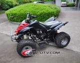 Hot Selling ATV Quad