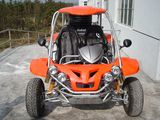 250CC EEC Go Kart/Buggy (FPG250E-L)