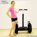 Competitive Electric Scooter China Manufacturer V4+ off Road Wind-Rover Balance Standing Scooter