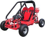 50cc 70cc 90cc Mini Buggy (HDG50)