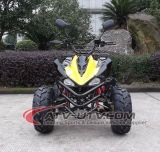 2014 New Model OEM 50cc 4stroke ATV Quad