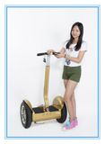 Super Bargain 2 Wheels Self-Balancing Electric Smart Scooter, Personal Standing Electric Chariot From China. City-Road Stanard