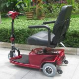 250 Watts Elderly Electric Handicapped Tricycle (DL24250-1)