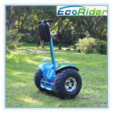 30 Climbing Angle Personal Individual off Road Vehicle Electric Scooter